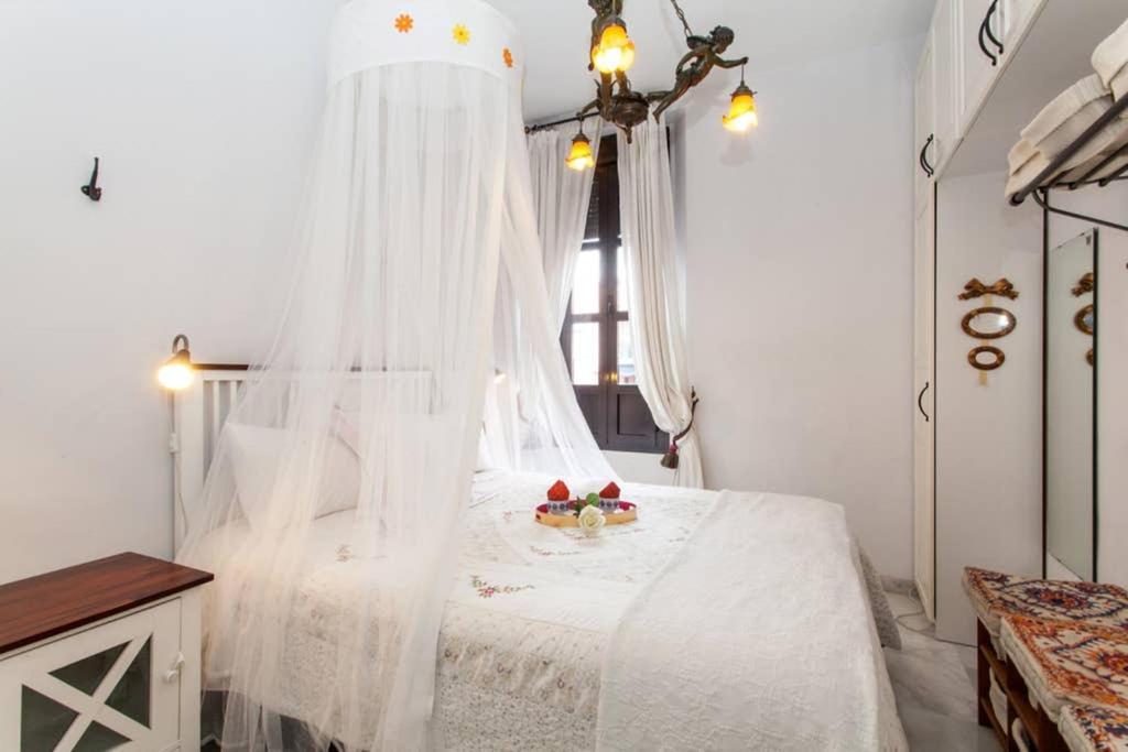 סביליה Apartamento Alfareria מראה חיצוני תמונה